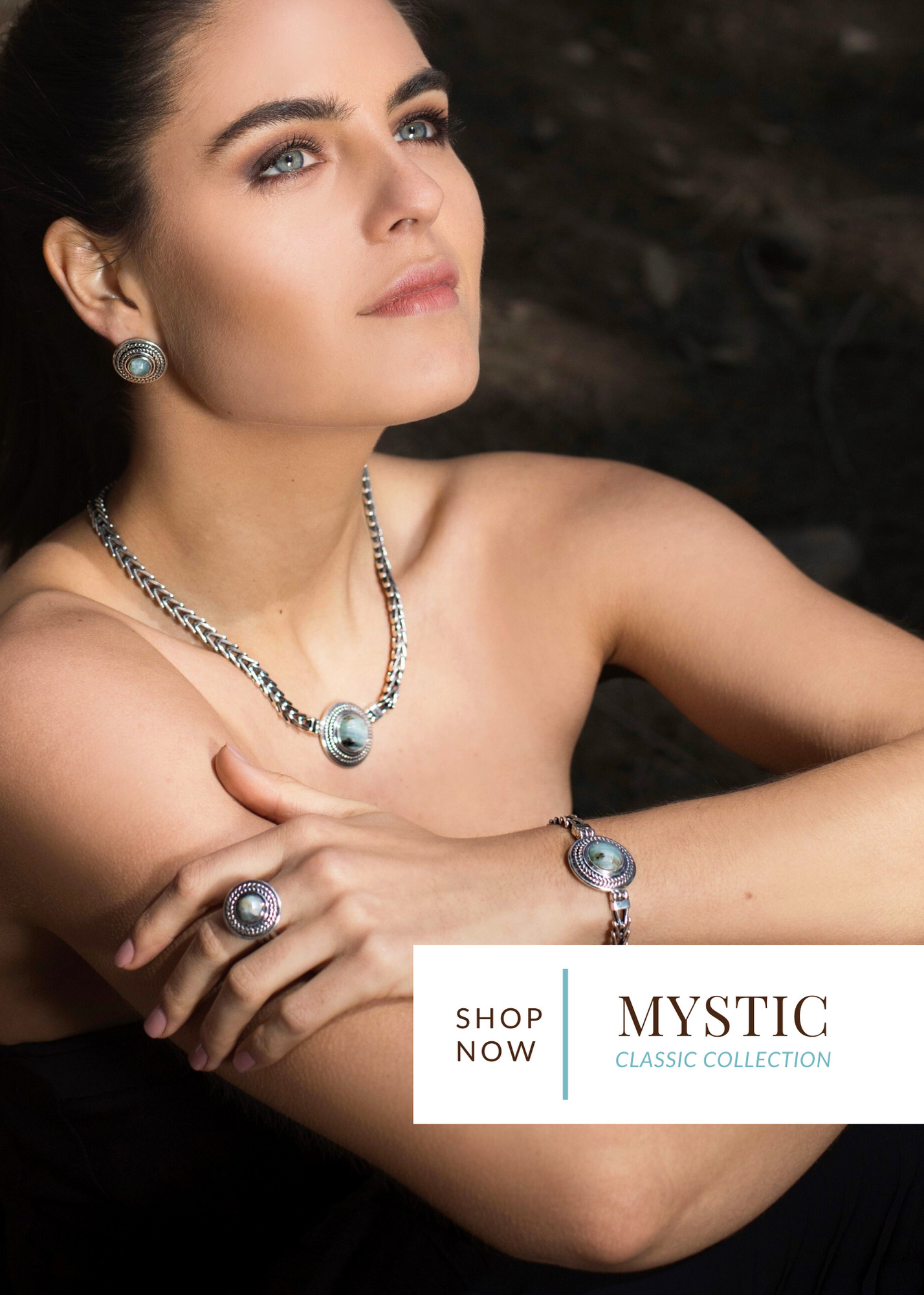 AD Home Buttons Rectangle-2 copy